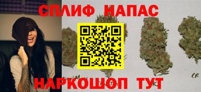 ешки Долгопрудный
