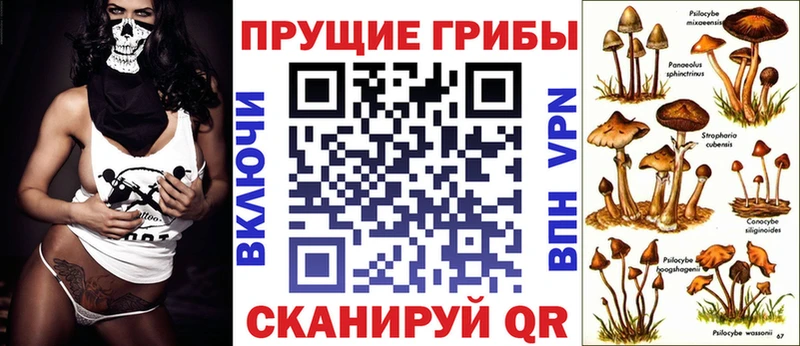 kraken зеркало  Благовещенск  Галлюциногенные грибы Cubensis 
