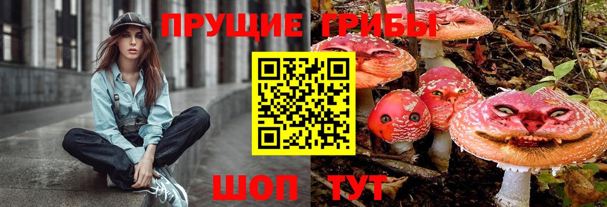 Псилоцибиновые грибы Magic Shrooms  Вход с VPN  Благовещенск  Псилоцибиновые грибы ЛСД 